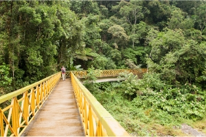 Exploring Ranomafana National Park